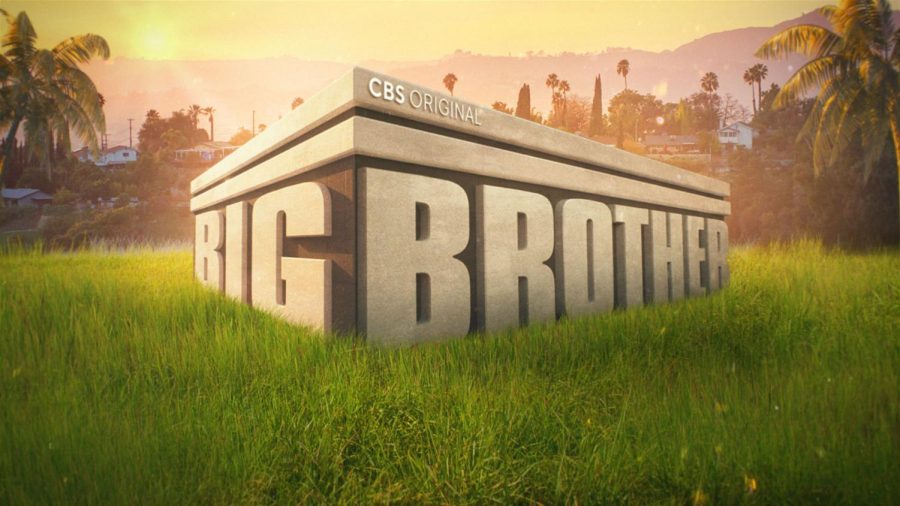 Big Brother Season 23 Review