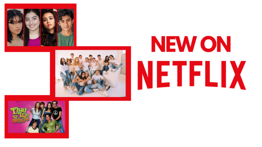 Netflix Shows Coming in 2022!