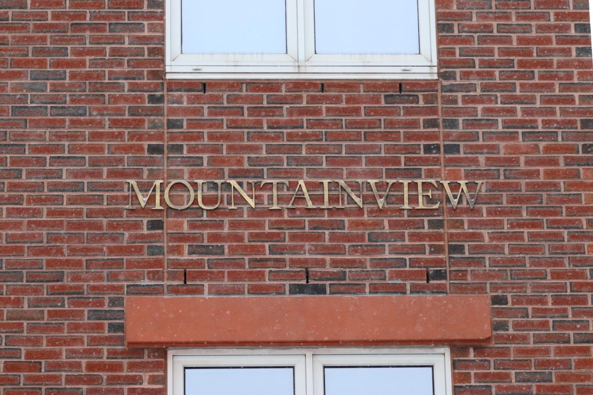 Mountainview+sees+detrimental+flooding